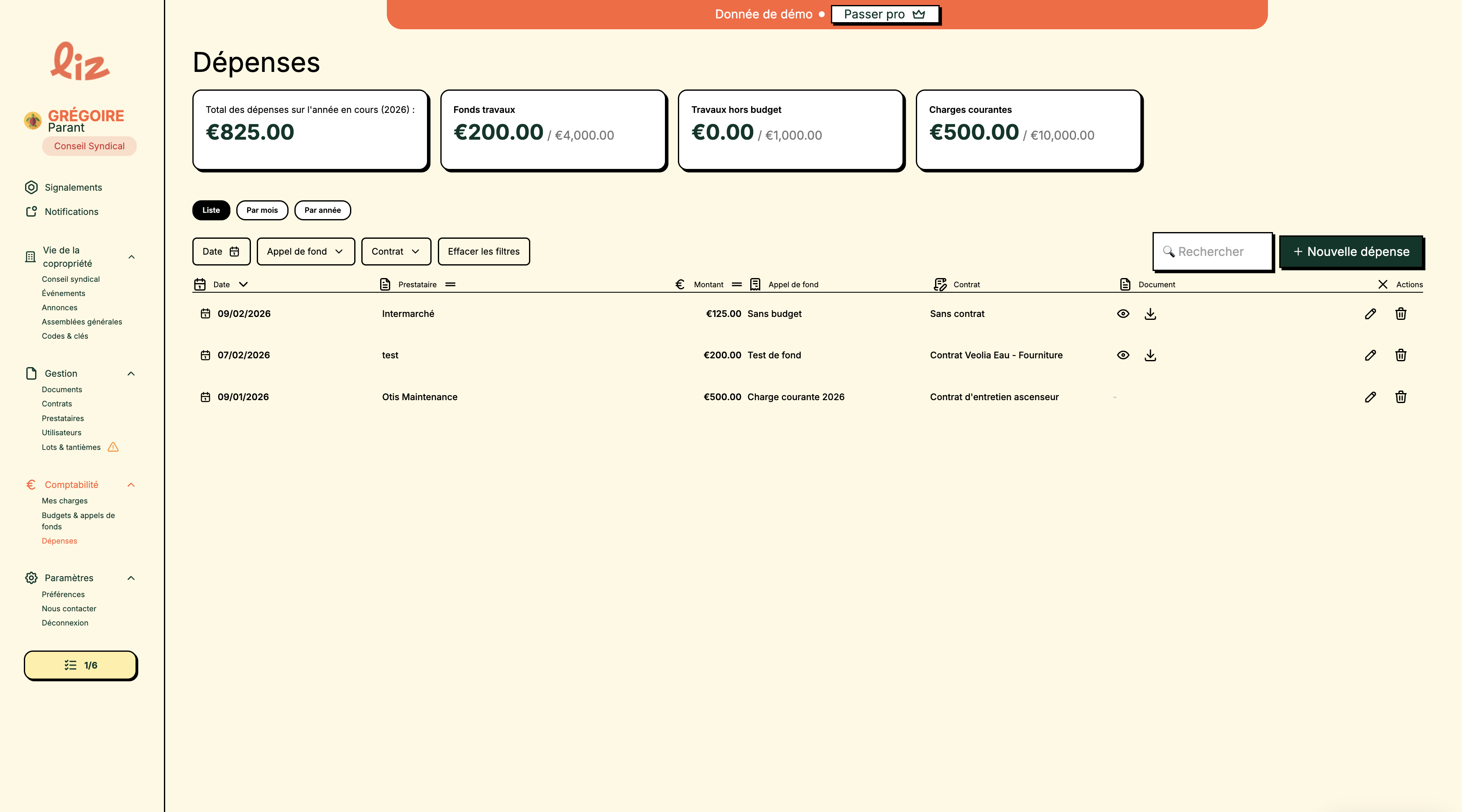 Interface Liz — journal des dépenses de copropriété par mois et synthèse annuelle